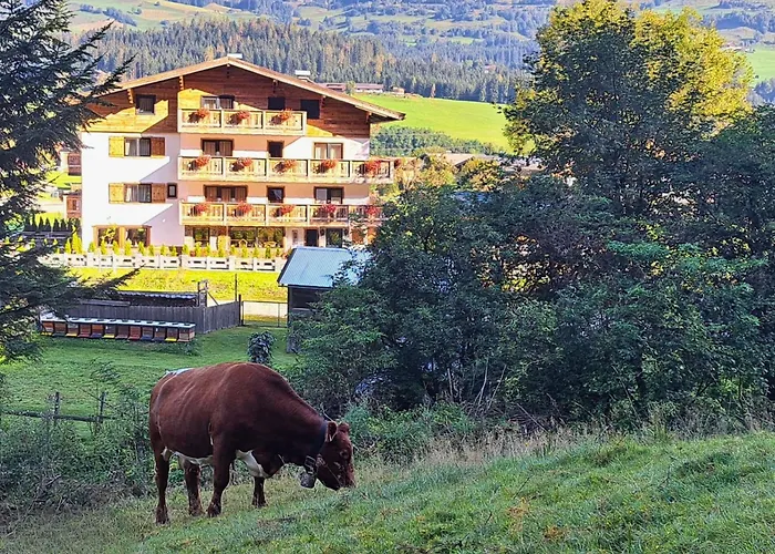 Pension Kitzbühel Alpen